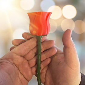 Figro|Valentinsdag