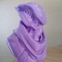 AzureFilm PETG Lila 1KG | Figro.dk